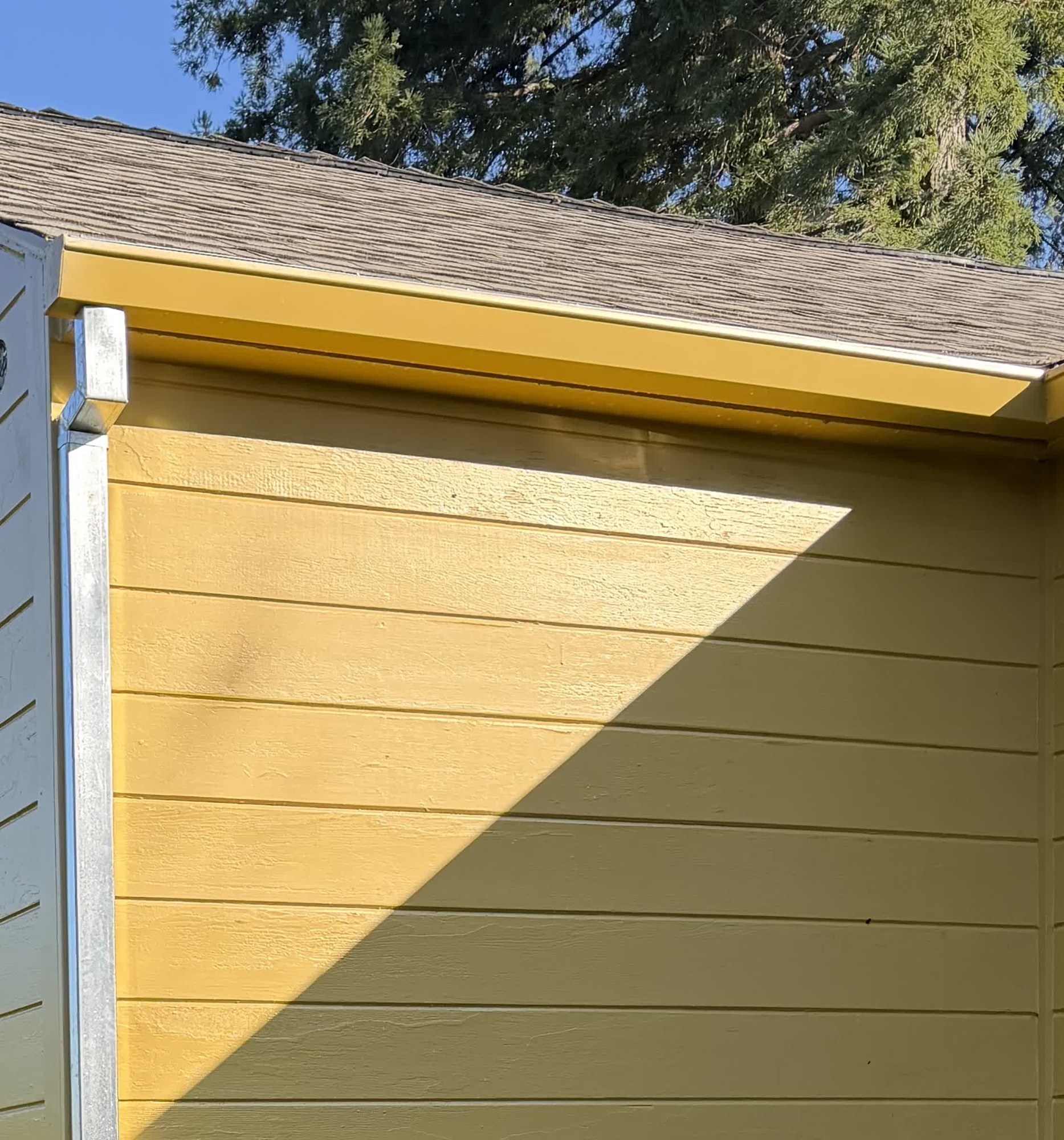 Gutters & exterior details