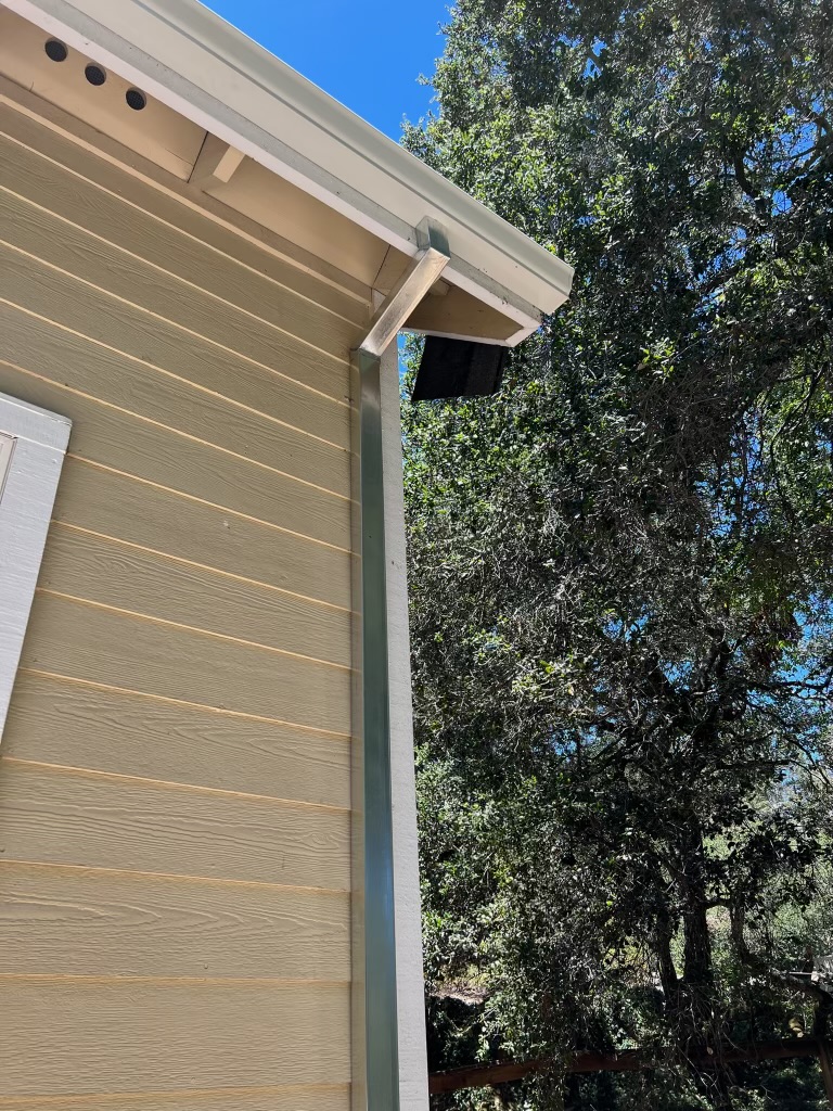 Clean corner and downspout wood-sided home oak trees